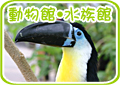 ưʪ�ࡦ��²��